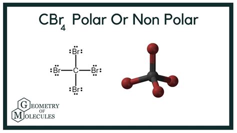 Create a table to collect data on the <strong>carbon</strong>-oxygen bond lengths in the molecules. . Carbon tetrabromide polar or nonpolar